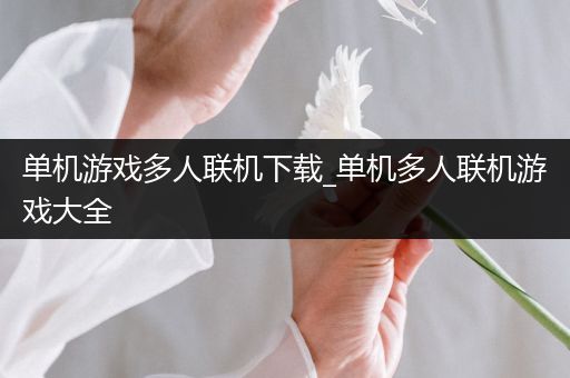 单机游戏多人联机下载_单机多人联机游戏大全