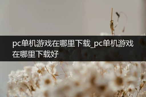 pc单机游戏在哪里下载_pc单机游戏在哪里下载好