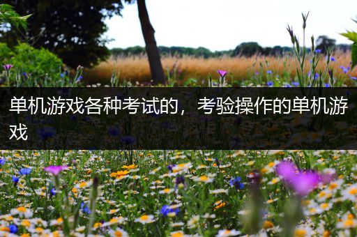 单机游戏各种考试的，考验操作的单机游戏