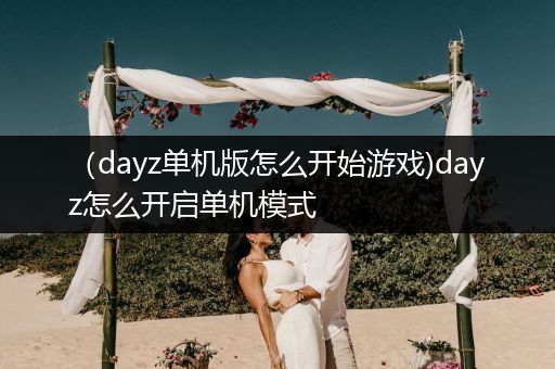 （dayz单机版怎么开始游戏)dayz怎么开启单机模式