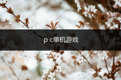 p c单机游戏