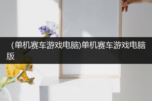 （单机赛车游戏电脑)单机赛车游戏电脑版