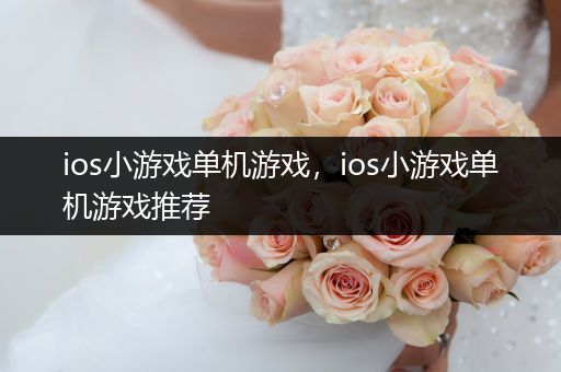 ios小游戏单机游戏，ios小游戏单机游戏推荐