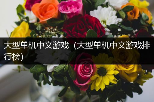 大型单机中文游戏（大型单机中文游戏排行榜）