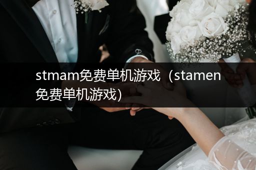 stmam免费单机游戏（stamen免费单机游戏）