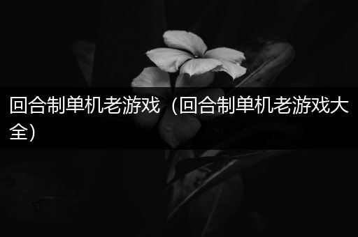 回合制单机老游戏（回合制单机老游戏大全）