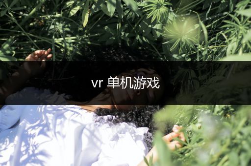 vr 单机游戏