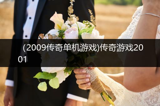 （2009传奇单机游戏)传奇游戏2001