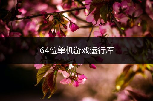 64位单机游戏运行库