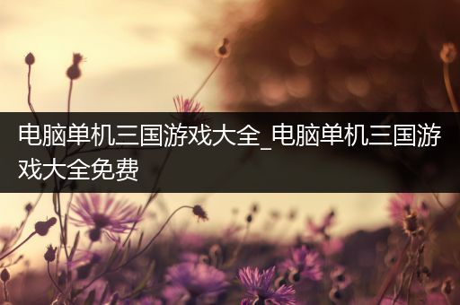 电脑单机三国游戏大全_电脑单机三国游戏大全免费