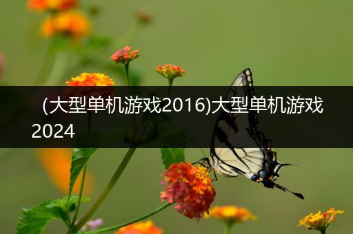 （大型单机游戏2016)大型单机游戏2024