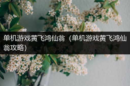 单机游戏黄飞鸿仙翁（单机游戏黄飞鸿仙翁攻略）