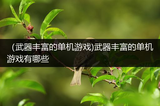 （武器丰富的单机游戏)武器丰富的单机游戏有哪些