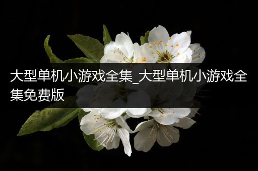 大型单机小游戏全集_大型单机小游戏全集免费版