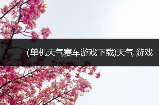 （单机天气赛车游戏下载)天气 游戏