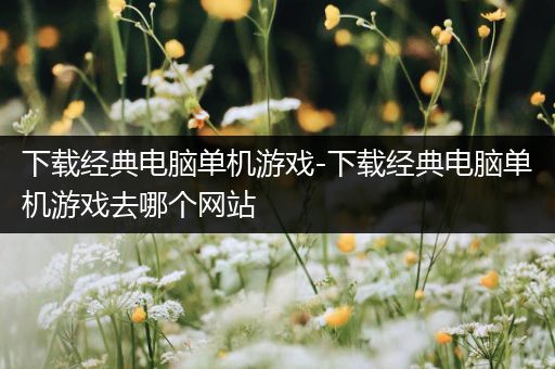下载经典电脑单机游戏-下载经典电脑单机游戏去哪个网站