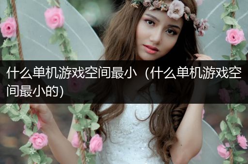 什么单机游戏空间最小（什么单机游戏空间最小的）