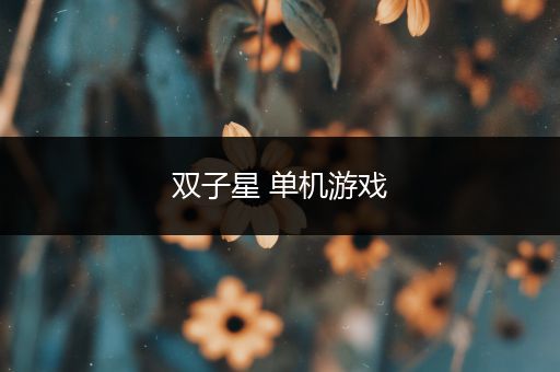 双子星 单机游戏