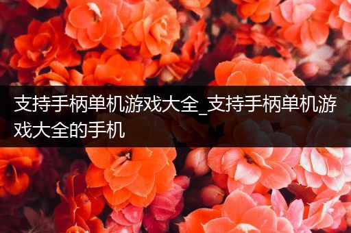 支持手柄单机游戏大全_支持手柄单机游戏大全的手机