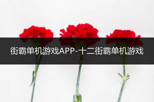 街霸单机游戏APP-十二街霸单机游戏
