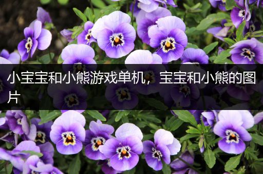 小宝宝和小熊游戏单机，宝宝和小熊的图片