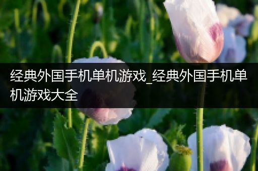 经典外国手机单机游戏_经典外国手机单机游戏大全
