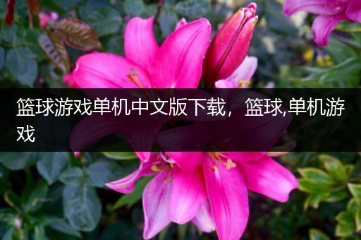 篮球游戏单机中文版下载，篮球,单机游戏
