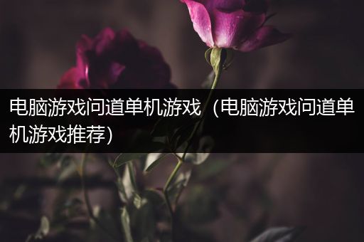 电脑游戏问道单机游戏（电脑游戏问道单机游戏推荐）