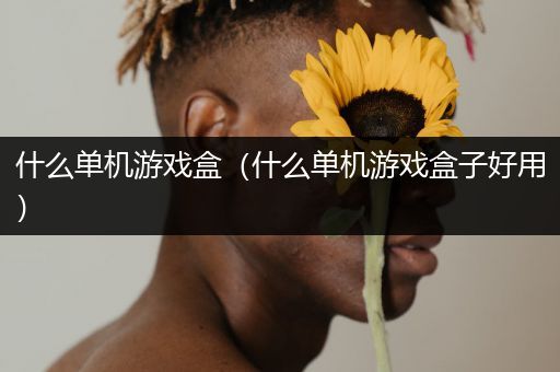 什么单机游戏盒（什么单机游戏盒子好用）