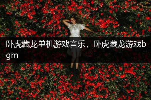 卧虎藏龙单机游戏音乐，卧虎藏龙游戏bgm