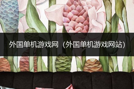 外国单机游戏网（外国单机游戏网站）