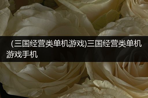 （三国经营类单机游戏)三国经营类单机游戏手机