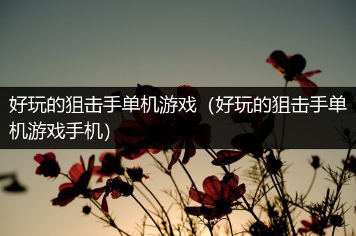 好玩的狙击手单机游戏（好玩的狙击手单机游戏手机）