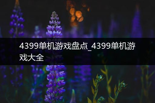 4399单机游戏盘点_4399单机游戏大全