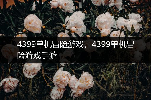 4399单机冒险游戏，4399单机冒险游戏手游