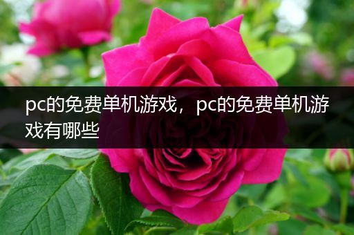 pc的免费单机游戏，pc的免费单机游戏有哪些