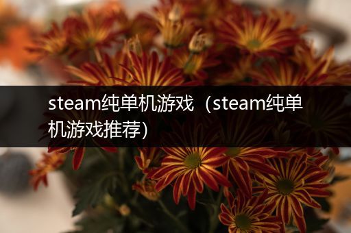 steam纯单机游戏（steam纯单机游戏推荐）