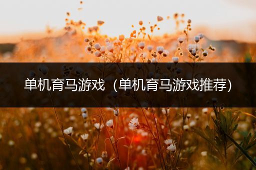 单机育马游戏（单机育马游戏推荐）