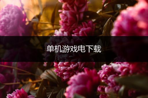 单机游戏电下载
