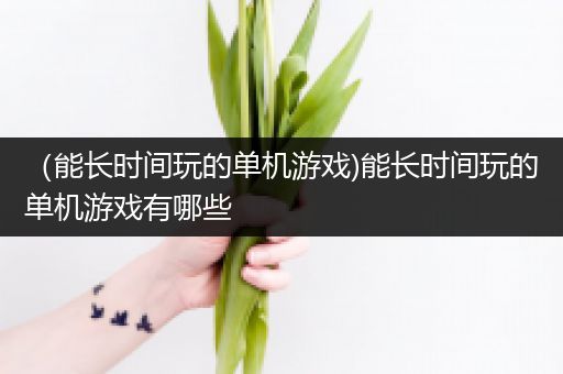 （能长时间玩的单机游戏)能长时间玩的单机游戏有哪些