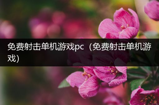 免费射击单机游戏pc（免费射击单机游戏）