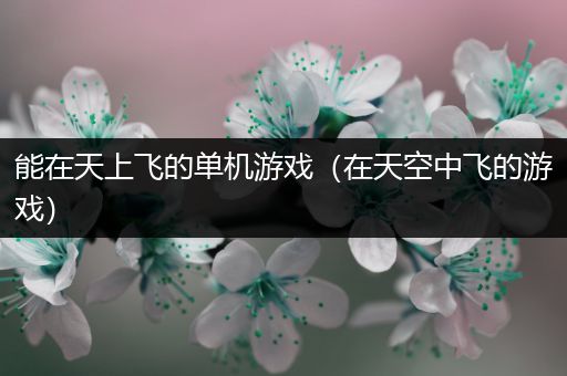 能在天上飞的单机游戏（在天空中飞的游戏）