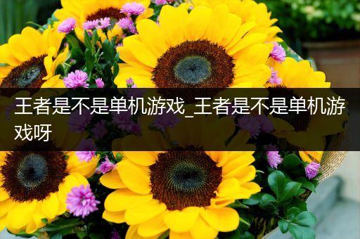 王者是不是单机游戏_王者是不是单机游戏呀