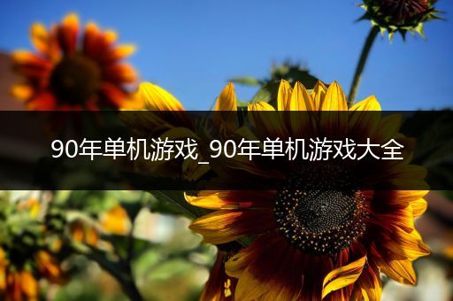 90年单机游戏_90年单机游戏大全