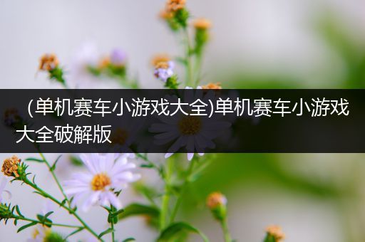 （单机赛车小游戏大全)单机赛车小游戏大全破解版