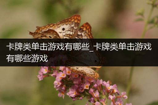 卡牌类单击游戏有哪些_卡牌类单击游戏有哪些游戏
