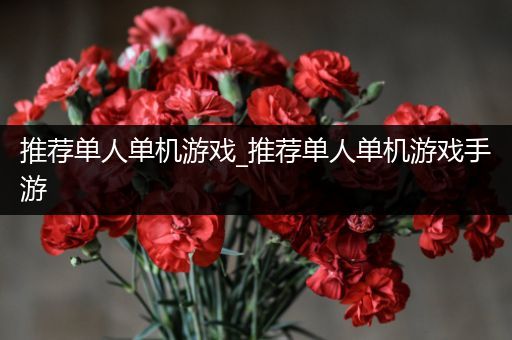 推荐单人单机游戏_推荐单人单机游戏手游