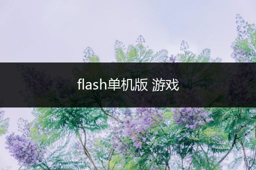 flash单机版 游戏