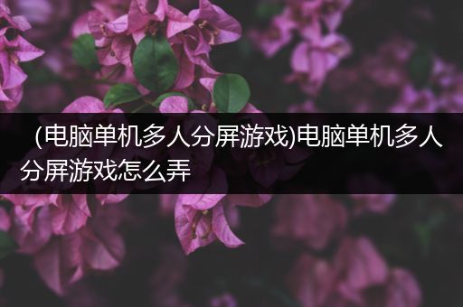 （电脑单机多人分屏游戏)电脑单机多人分屏游戏怎么弄