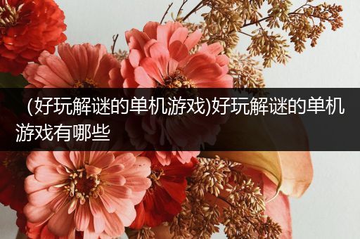 （好玩解谜的单机游戏)好玩解谜的单机游戏有哪些